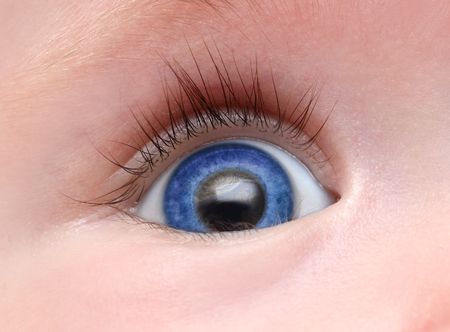 baby blue eye with long eyelash close-upの写真素材