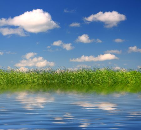 green grass under blue sky backgroundの写真素材