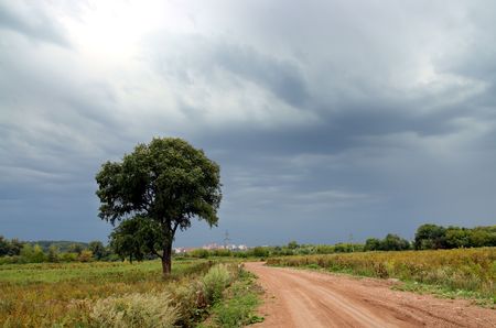 rural road and tree under storm overcast skyの写真素材