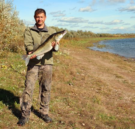 fishing man on coast with big zander fishの写真素材