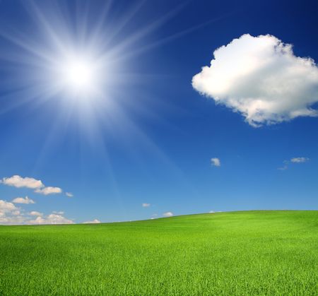 green hill with wheat under blue sky with sunの写真素材