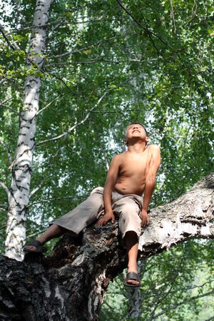 happy boy looking up on birch treeの写真素材
