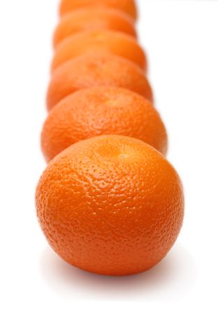 many mandarins in row isolated on whiteの写真素材