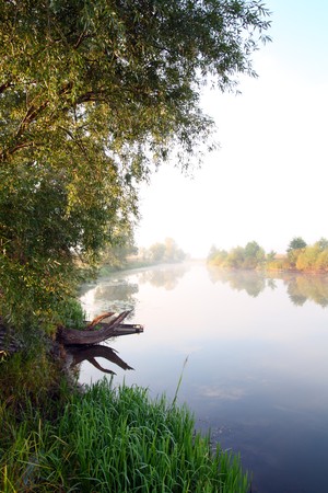 autumn lake landscape with tree and grassの写真素材