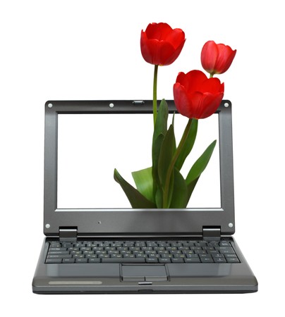 small laptop with tulips bouquet out of screenの写真素材