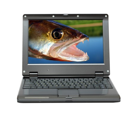 small laptop with zander jaws -  fishing themesの写真素材