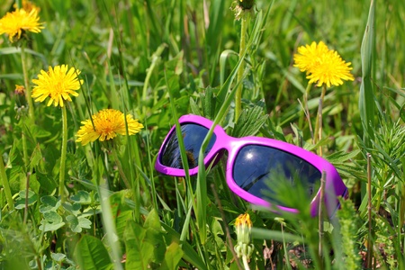sunglasses in green grass with dandelion flowersの写真素材