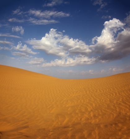 landsape in Tar desert Indiaの写真素材