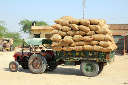 tractor loaded with bags in rajasthan indiaのeditorial素材