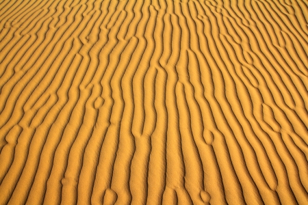 sand in desert ripple backgroundの写真素材