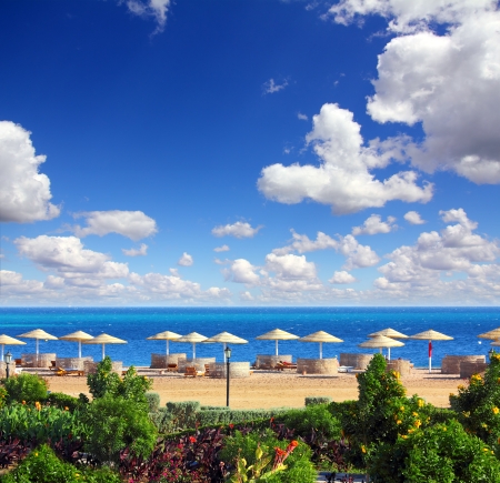 tropical beach and Red Sea in Egyptの写真素材