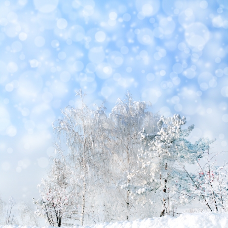 winter landscape with snowfall and trees on hillの写真素材