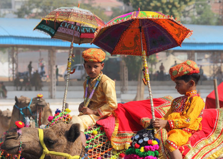 PUSHKAR, INDIA - NOVEMBER 22, 2012: Competition to decorate camels at Pushkar camel fair のeditorial素材