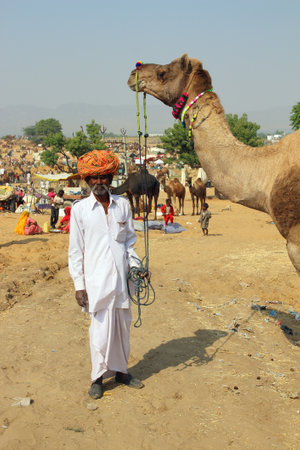 PUSHKAR, INDIA - NOVEMBER 21 2012: Seller of camels at Pushkar camel fair
のeditorial素材