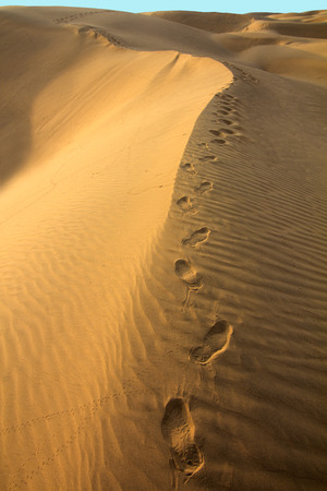 Human footsteps in the sand in the Desertの写真素材