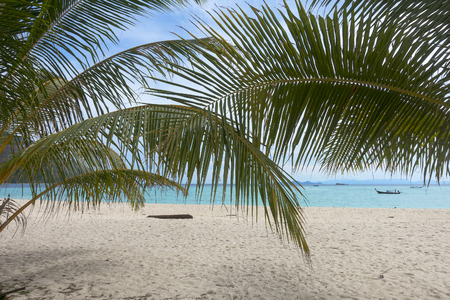 Palm leaves and white sand beach - tropical backgroundの写真素材