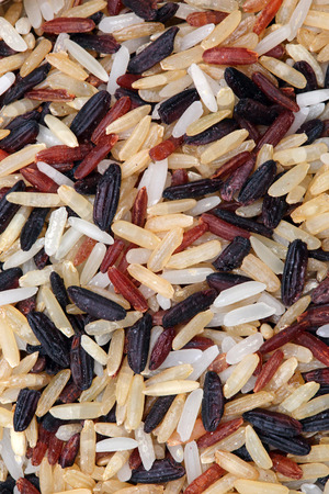 rice grain multicolor background macroの写真素材