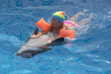 Little girl swim on dolphin in the poolの写真素材
