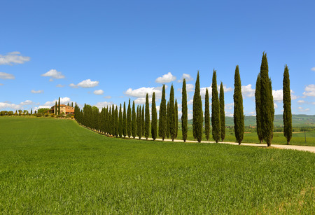 Tuscany landscape with farmhouse and cypresses at sunny day. Province of Siena, Italy.の写真素材