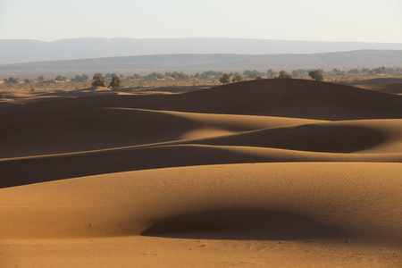 Big sand dunes in Sahara desert landscapeの写真素材