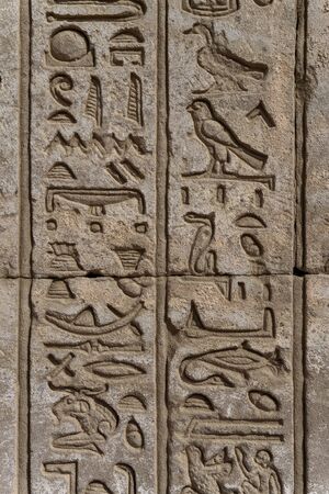 ancient egypt hieroglyphics on wall in templeの写真素材