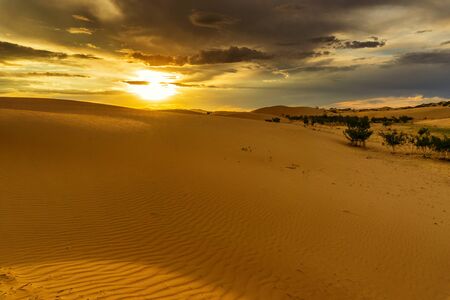 dramatic sunset in desertの写真素材