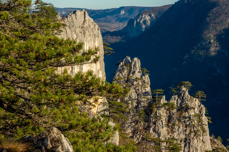 Mountains at Sokolarica Viewpoint, popular travel destination in Serbia. National Park Taraの写真素材