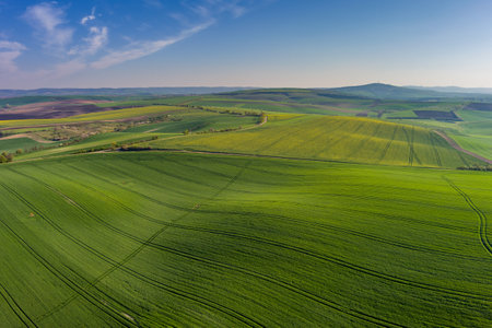 Aerial view of amazing green wavy hills with agricultural fields in spring. South Moravia region,...