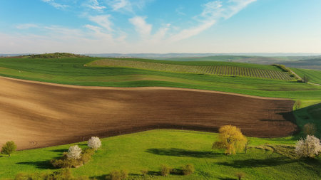 Green wavy hills with agricultural fieldsの写真素材