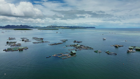 Aerial view of fish farm with cages for fish and shrimp. Fish farming aquaculture, Philippinesの写真素材