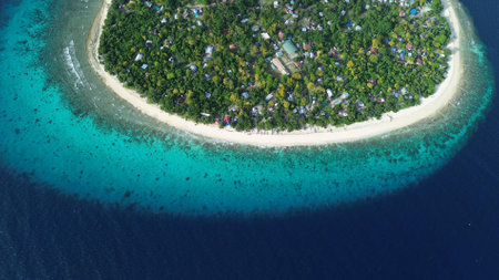 Aerial top view of tropical island Balicasag surrounded by turquoise waters and coral reefs, Philippinesの写真素材