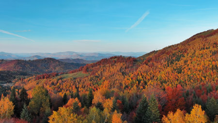 Aerial view of autumn colors forest in serene mountain landscapeの写真素材