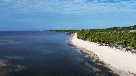 Aerial view of beautiful tropical beach with white sand and palm trees under blue sky, Philippinesの写真素材