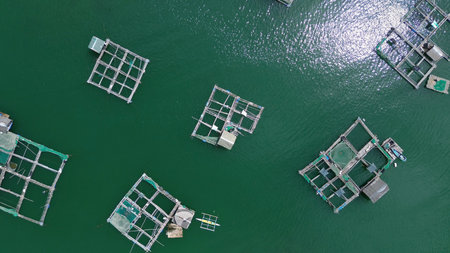 Aerial top view of fish farm with cages for fish and shrimp. Fish farming aquaculture, Philippinesの写真素材