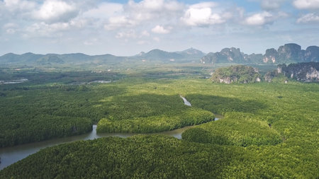Aerial view on mangrove forest estuaries strait mountains in Krabi province, Thailandの写真素材
