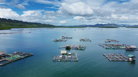 Aerial view of fish farm with cages for fish and shrimp. Fish farming aquaculture, Philippinesの写真素材