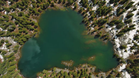 Aerial top view of mountain lake in green fir forest, Hridsko Lake in Montenegroの写真素材