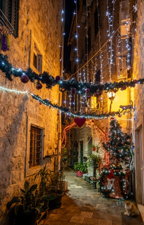 Narrow alley decorated with garland and string lights, a small Christmas tree, and a red heart, with cats sitting in Kotor, Montenegroの写真素材