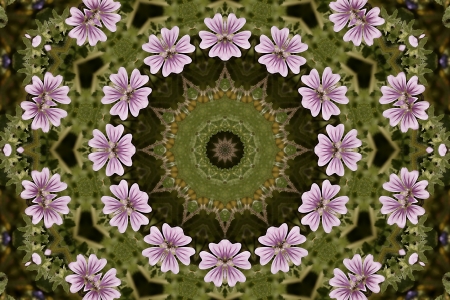 Kaleidoscope illusionの写真素材