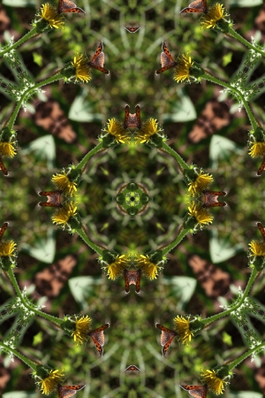 Kaleidoscope illusionの写真素材