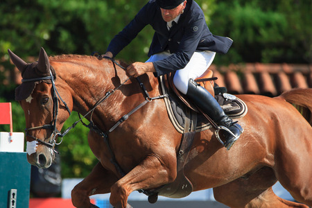 Rider HUREL, Jerome. CSIO Barcelona, 103rd International Jumping Competition. Furusiyya FEI Nations Cup. Barcelona, Spain. October 11, 2014のeditorial素材