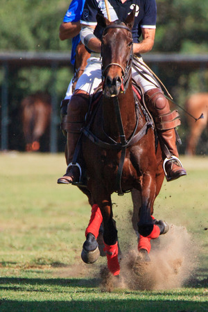 City of Barcelona Trophy International. Club de Polo Ampurdan VS Ridecrins Negrita. Barcelona, Spain. October 25, 2014.のeditorial素材