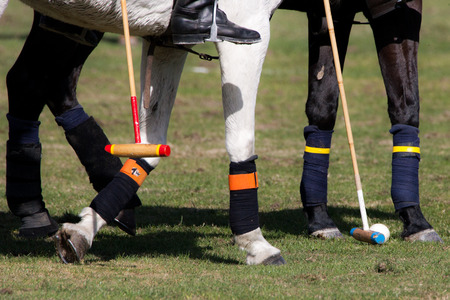 Polo sportの写真素材