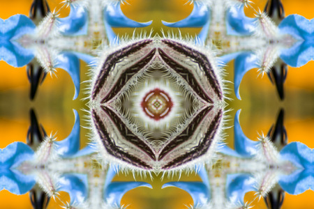 Abstract symmetry and colorsの写真素材