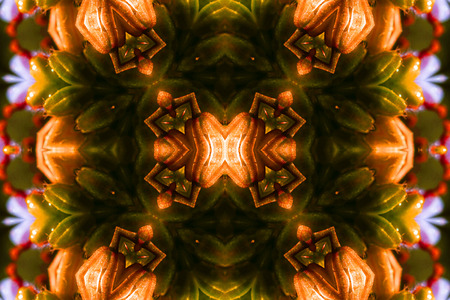 Abstract symmetry and colorsの写真素材