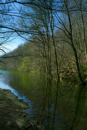 Forest and river. Montseny Natural Park. Spainの写真素材
