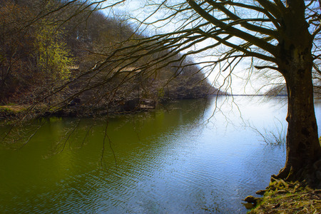 Forest and river. Montseny Natural Park. Spainの写真素材
