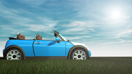 Small car on grass and summer sunの写真素材