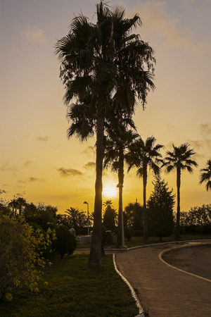 Sunrise on the beach in Spainの写真素材