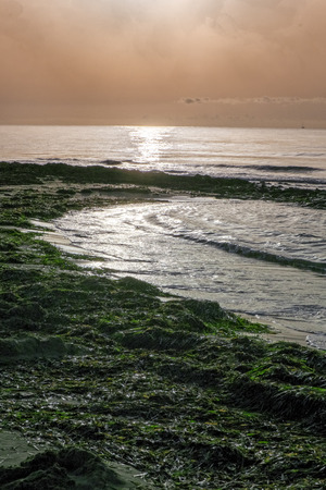 Sunset on the beachの写真素材